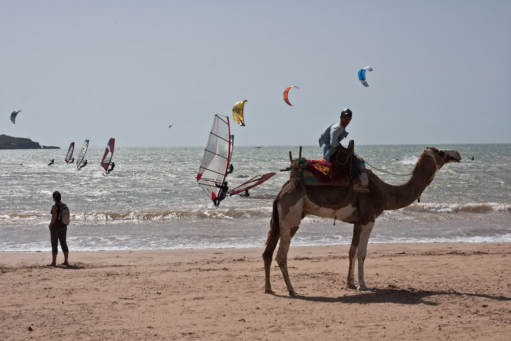 Holiday activities on the beach in Essaouira