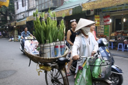 Top 10 Things to Do in Hanoi