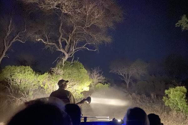 Fleewinter - South Africa night drive