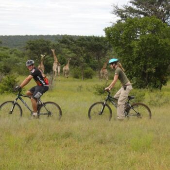 Fleewinter - Game viewing from a bike