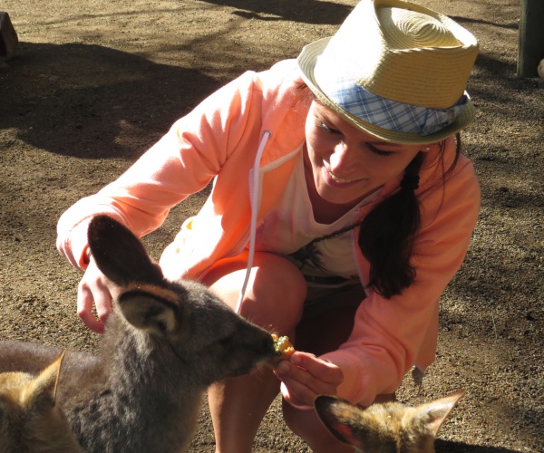 Australia's fascinating wildlife - I love kangaroos