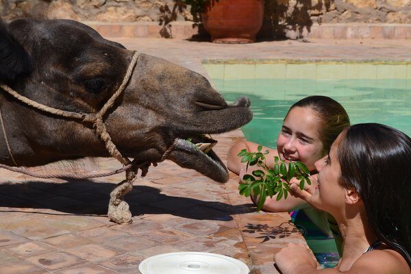 10 Family-Friendly Activities to Enjoy in and Around Marrakech