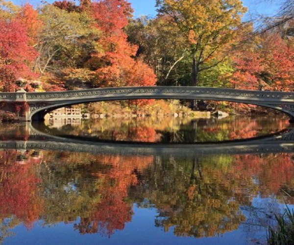 Fall Colours in Central Park, New York.