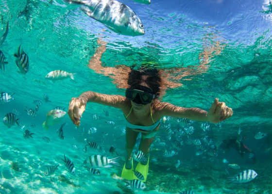 Mauritius Holiday Snorkeling