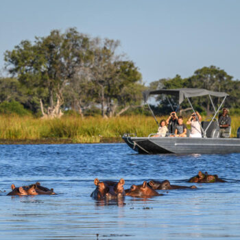 Fleewinter First-Time Safari Travel Tips - boat safari, hippo sighting
