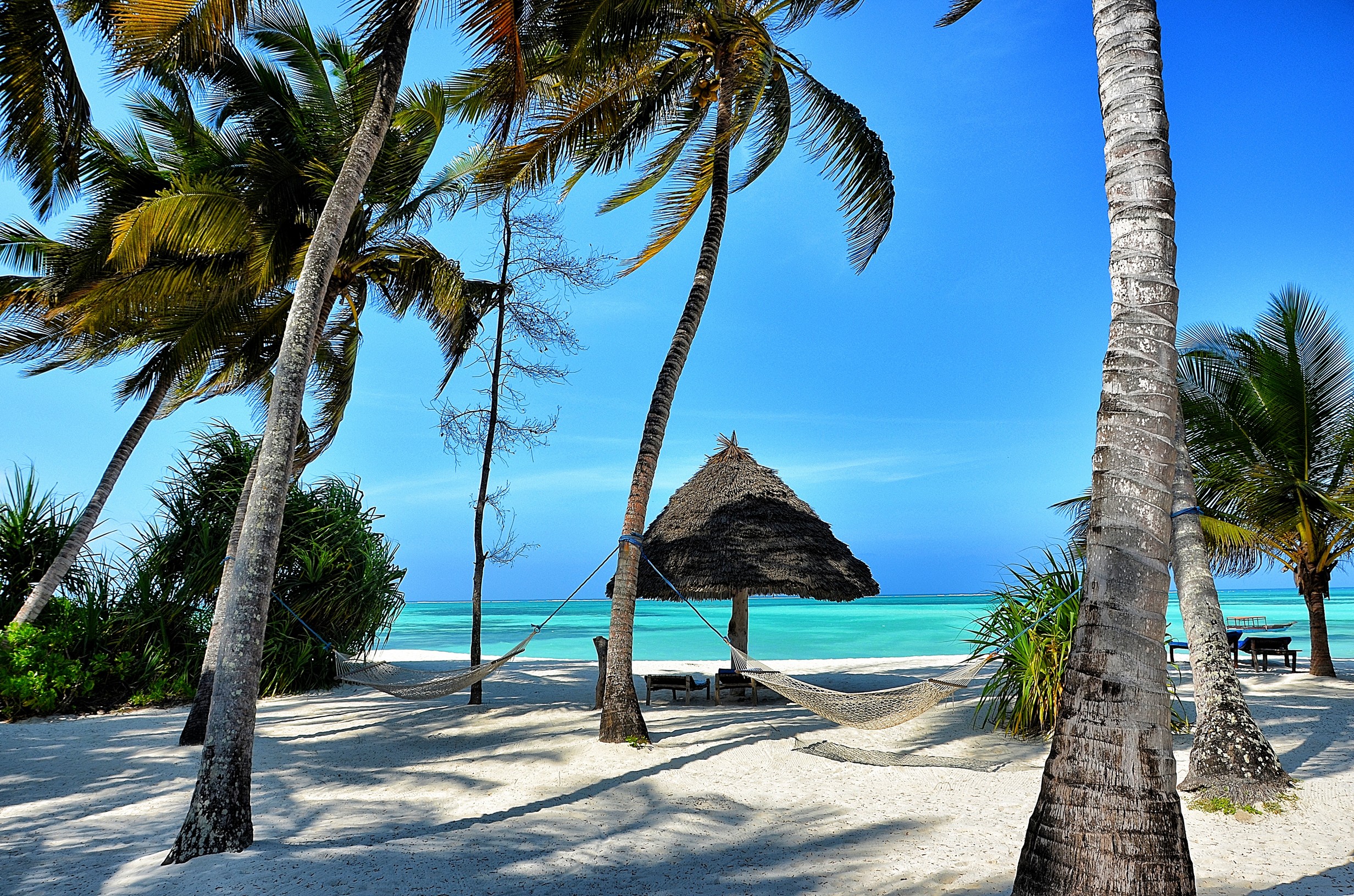 Chuini Zanzibar Beach Lodge | Newmark