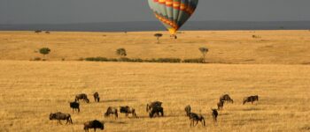 Getting around kenya in a hot air balloon