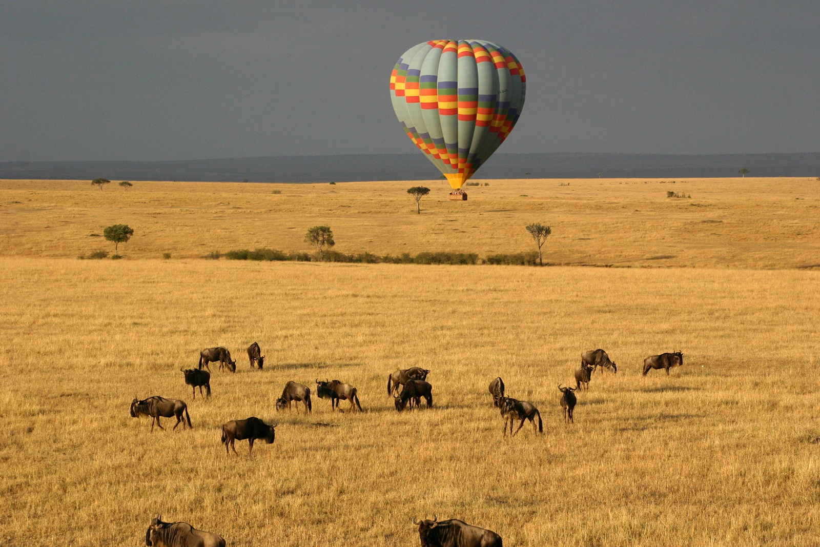 Getting around kenya in a hot air balloon
