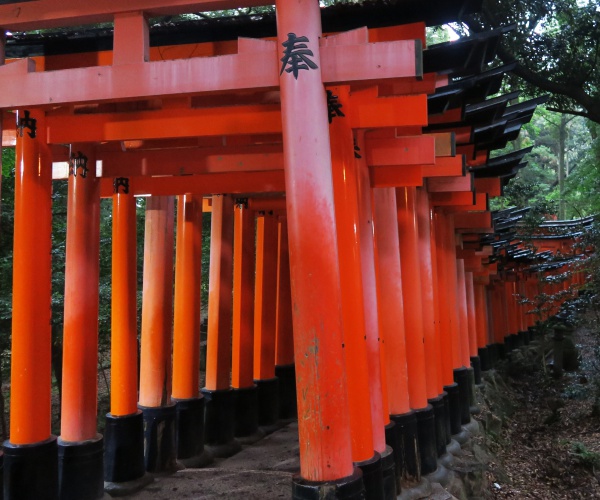Torii Gates in Fushimi Inari