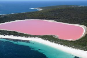 Pink lake Western Australia