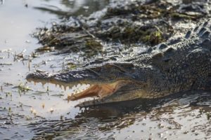 Kakadu National Park Cruise