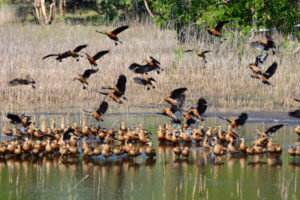 Kakadu National Park Cruise