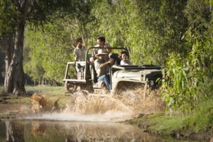 Mt Borradaile; Arnhemland; NT;