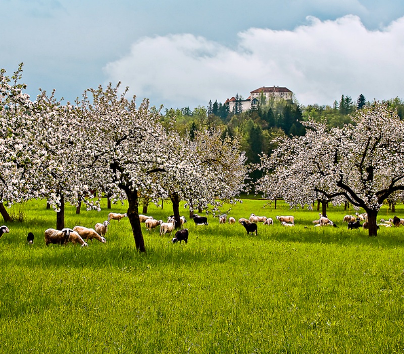 April in Slovenia