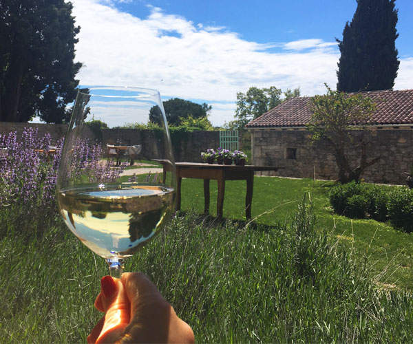 A glass of Malvasia with a view, in rural Istria