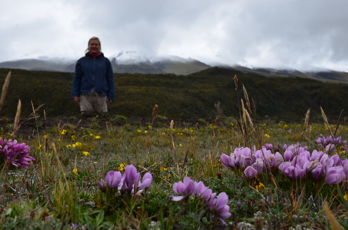 Val - Ecuador specialist - at Cotopaxi