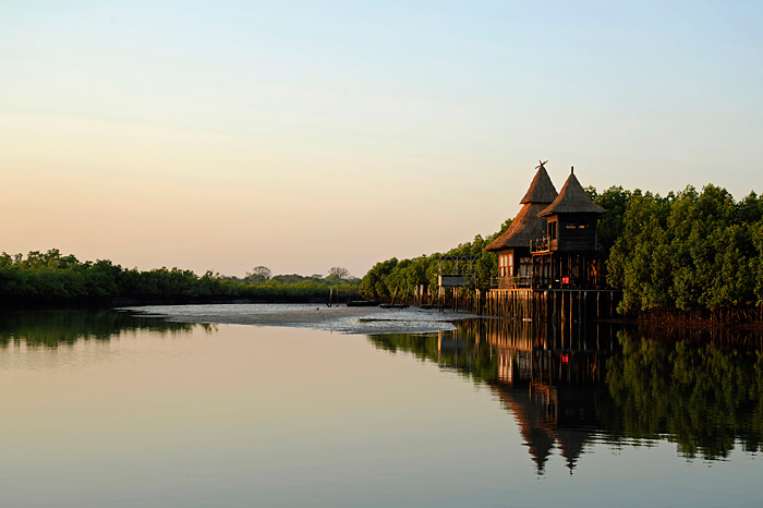 Потрясающий деревянный домик на сваях с видом на приток реки Гамбия. Теплый золотой свет освещает домик и окружающие его мангровые заросли на рассвете. Идеальное начало вашего отпуска в Гамбии.