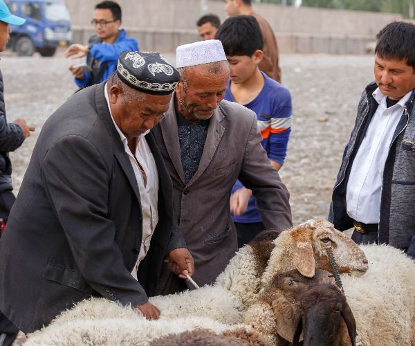  In 1999 I first visited the Sunday Market in Kashgar China, where Uighurs trade their livestock
