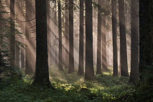 What to do in Slovenia