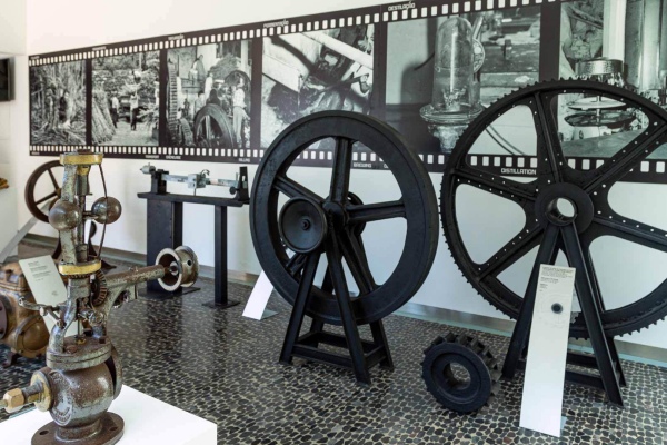 What to do in Calheta Madeira