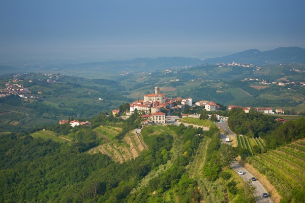 The best wineries in Vipava Valley and Goriška Brda to visit.