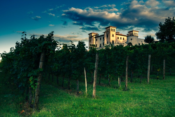 The best wineries in Vipava Valley and Goriska Brda