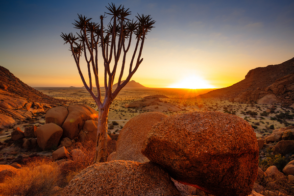 The Top Must-See Destinations in Namibia