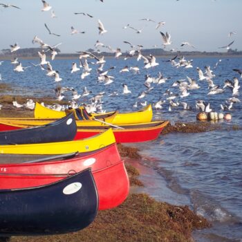 Where to go in January 2026 & 2027