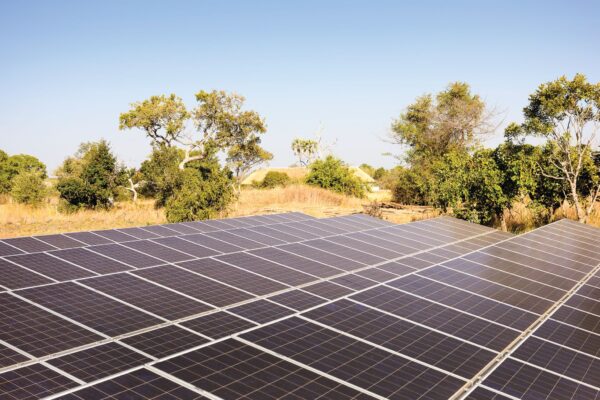 Exploring the wonders of eco tourism