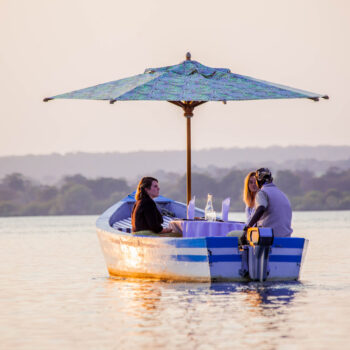 Exploring the wonders of eco tourism