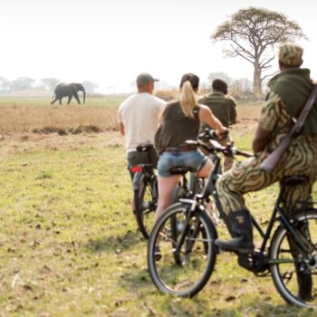Why you should spend next Christmas in Africa - e-bike safari