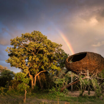 Fleewinter First-Time Safari Travel Tips - Chisa Busanga Nest/Zambia