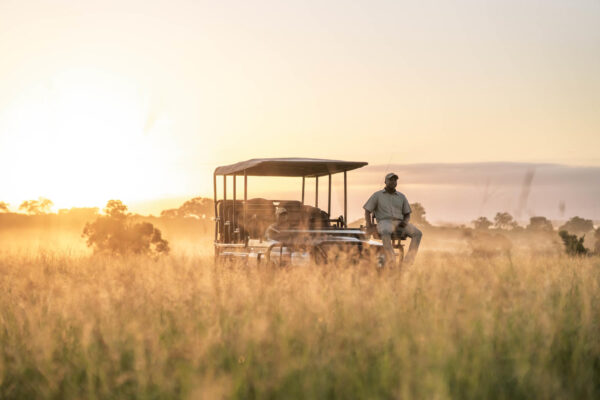 The Serenity of Silence: Why You Should Experience an Eco-Friendly Safari