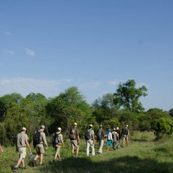 Fleewinter First-Time Safari Travel Tips - Game walk