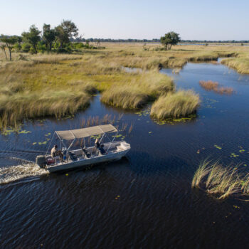 The Top Must-See Attractions in Botswana - Moremi boat tours