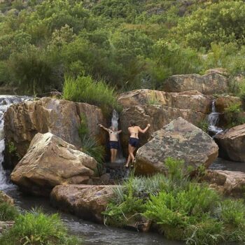 Beyond Wildlife and Safari: Discovering the Diversity of South Africa