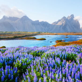 Where should you go in June 2026?