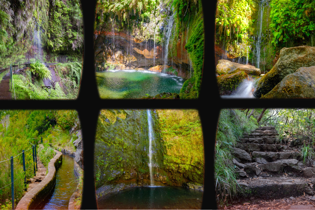 The most beautiful levada walks in Madeira