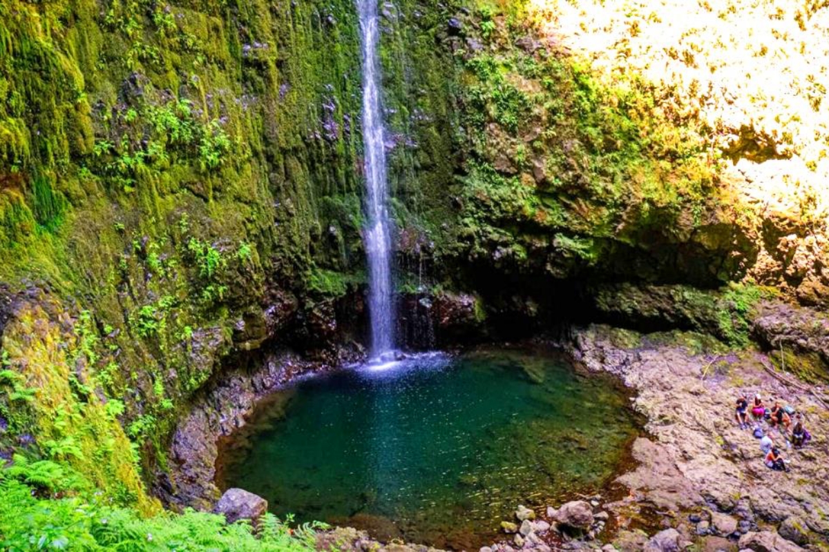 The most beautiful levada hikes in Madeira