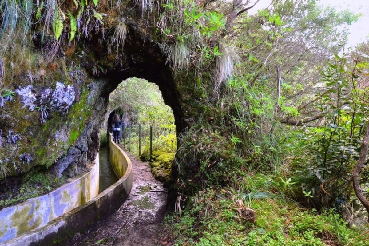The most beautiful walks in Madeira