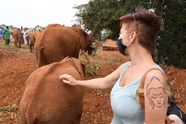 Kenya Familiarising trip - Sheldrick
