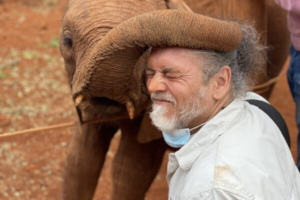 Kenya Familiarising trip - Sheldrick Orphanage