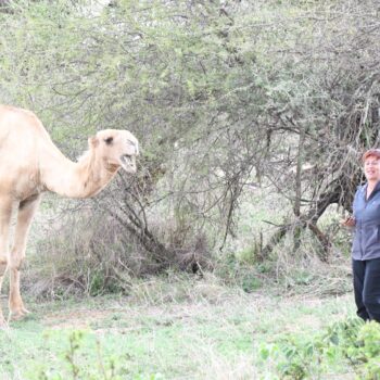 Kenya familiarising trip - meeting a camel
