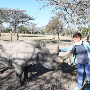 Kenya Familiarising trip - blind black rhino