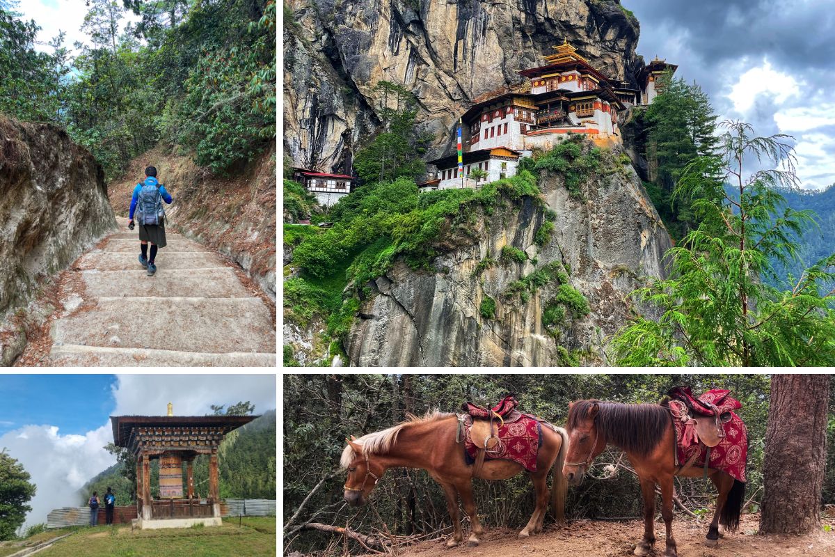 bumdra-trek-day-two-bhutan-taktsang