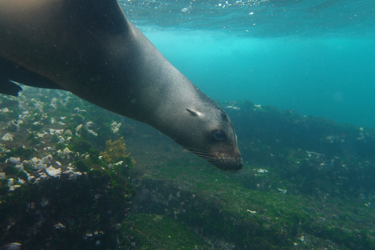 WHERE SHOULD I GO IN THE GALAPAGOS