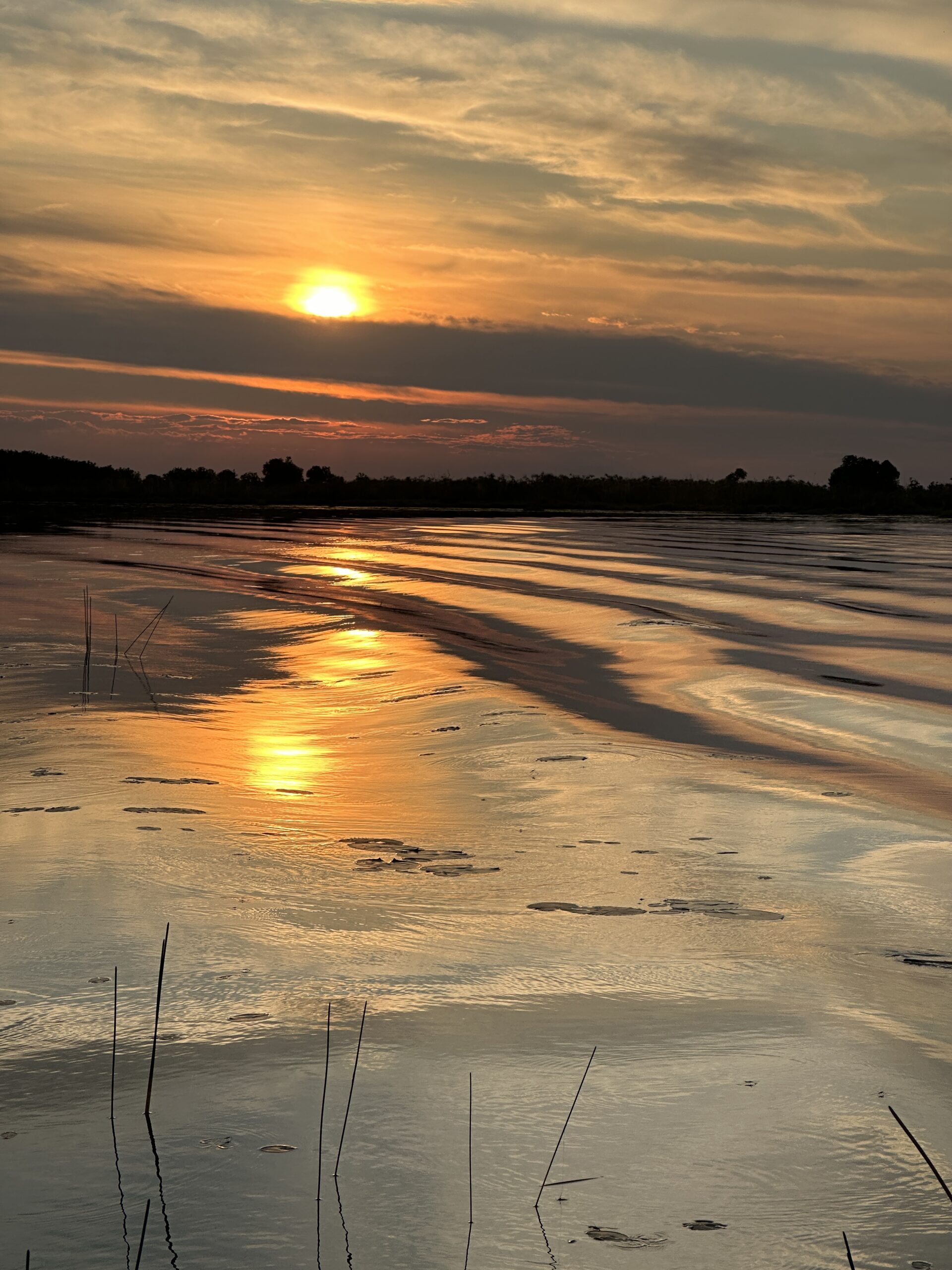 Holiday and prices Botswana