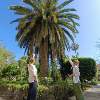 Andalusian Gardens near Kasbah Udayas – things to do in Rabat