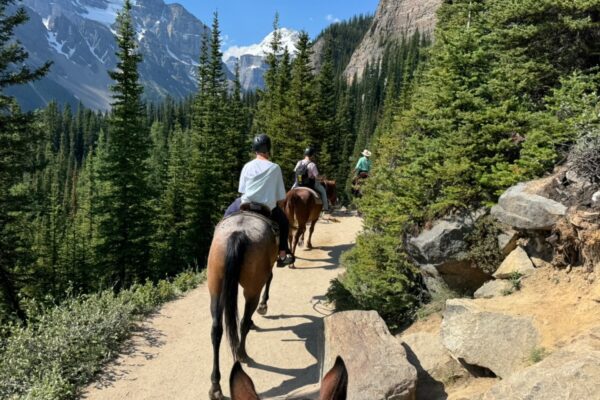 Horse Riding