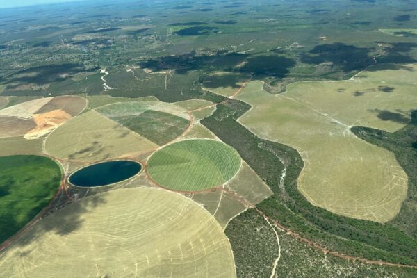 Farmland in the Cerrado seen from the air